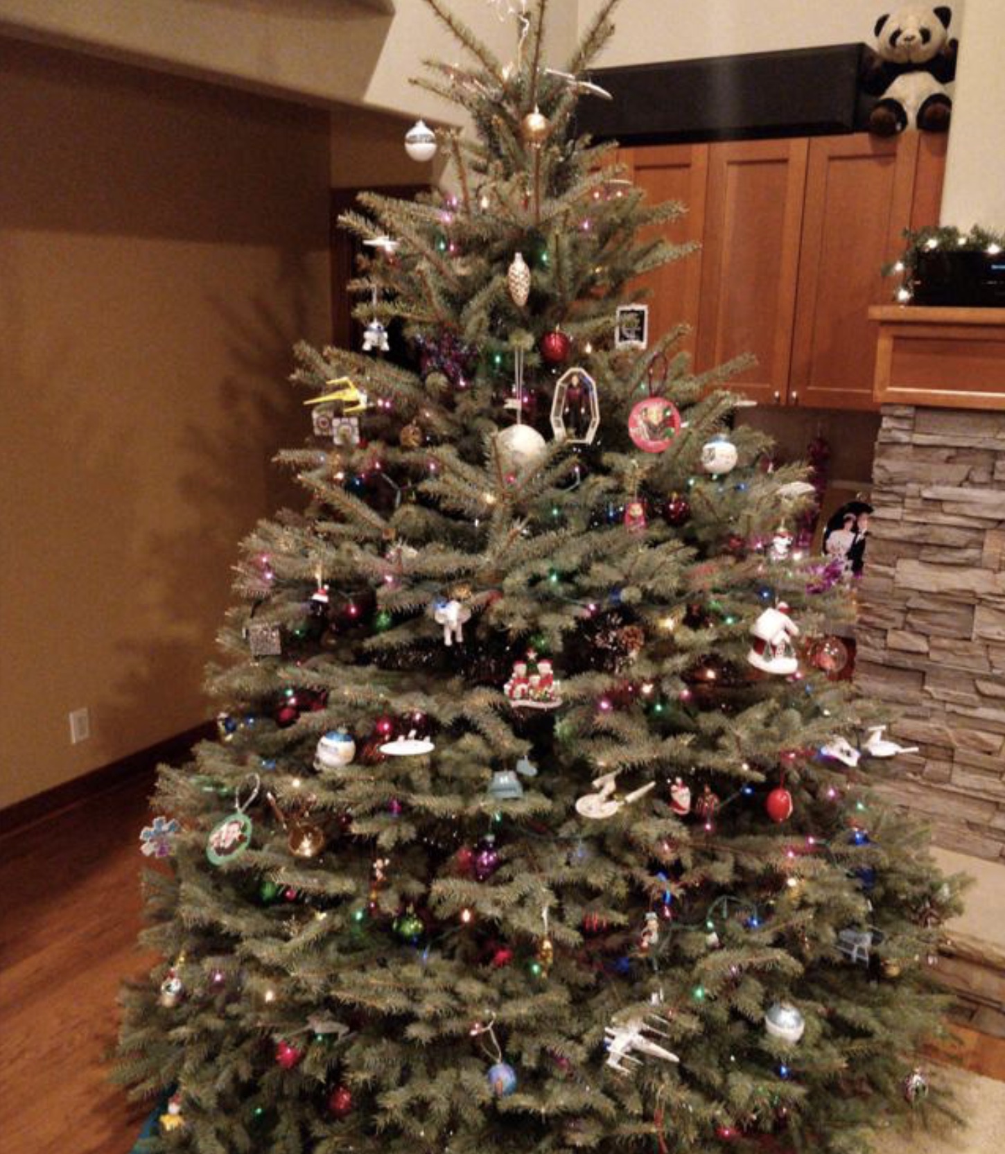 53C6CC09-72B9-495B-AA3E-546F436766EA